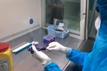 Xét nghiệm chẩn đoán COVID-19 bằng kỹ thuật Realtime PCR. (Ảnh: Lê Thúy Hằng/TTXVN)