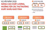 [Infographics] Quả vải Việt hướng tới thị trường xuất khẩu khó tính