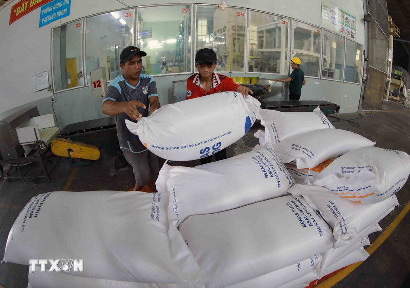 Bốc xếp gạo. (Nguồn: TTXVN)