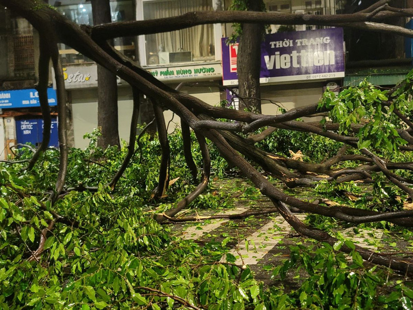 Cây xanh đổ chắn ngang phố Lò Đúc. (Ảnh: Doãn Tấn/TTXVN)