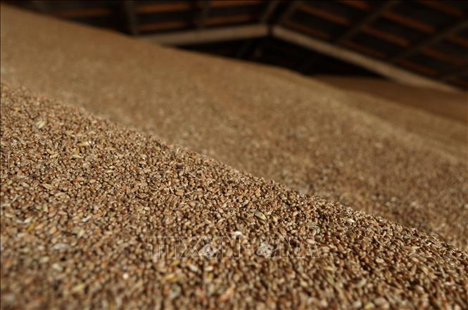 Ảnh minh họa. (Nguồn: AFP/TTXVN) 