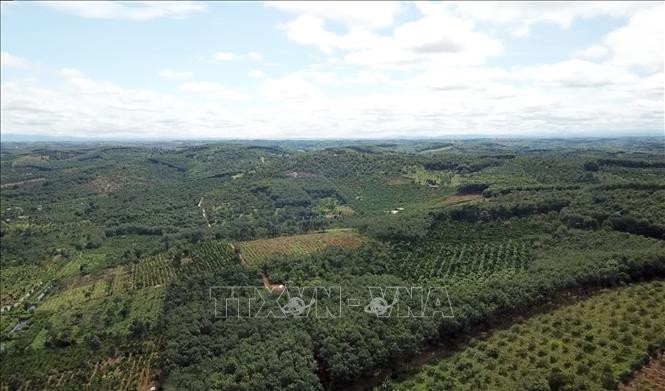 Một khu vực thuộc địa phận huyện Đắk R’lấp, tỉnh Đắk Nông, nơi dự kiến đường cao tốc Gia Nghĩa (Đắk Nông) - Chơn Thành (Bình Phước) đi qua. (Ảnh: Hưng Thịnh/TTXVN)