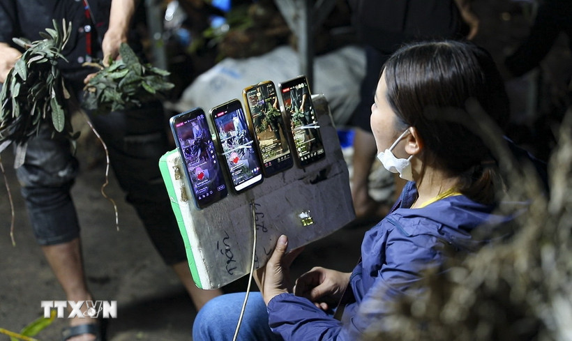 Ảnh minh họa. (Nguồn: TTXVN)