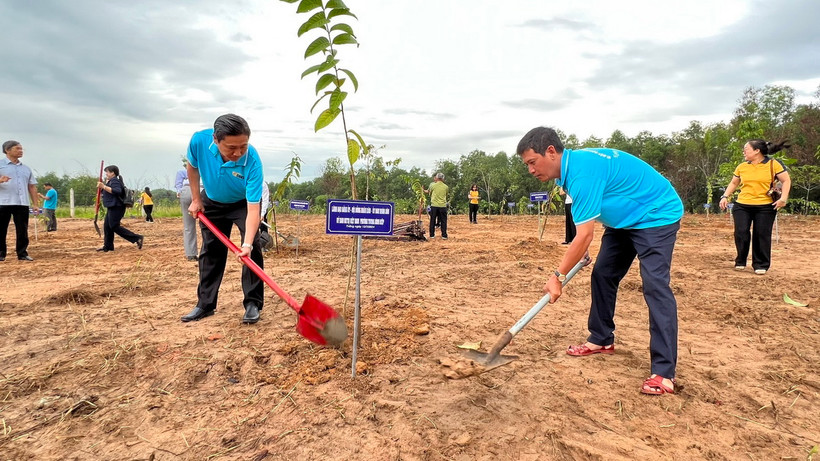 Lãnh đạo tỉnh và các tổ chức, cá nhân ra quân trồng 'Vườn cây đại đoàn kết' tại phường Tương Bình Hiệp, thành phố Thủ Dầu Một, tỉnh Bình Dương. (Ảnh: Dương Chí Tưởng/TTXVN)