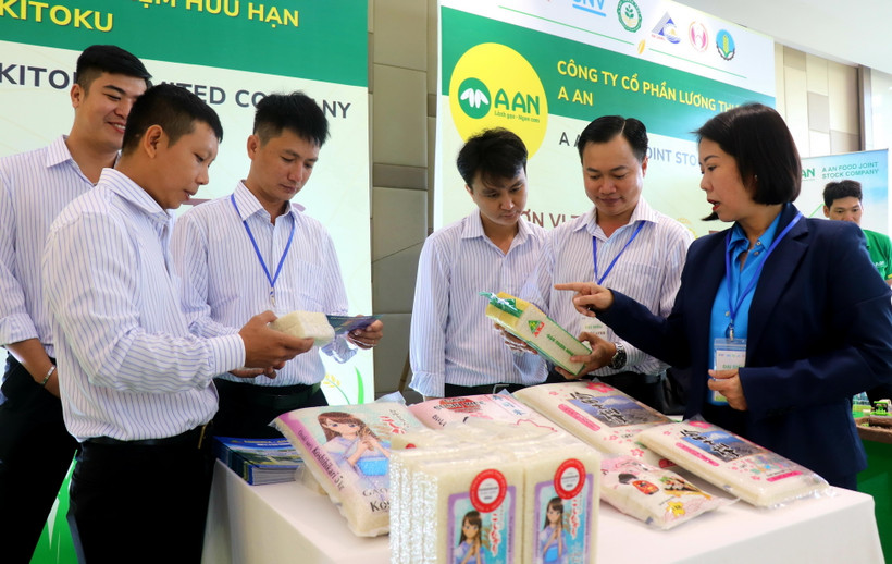 Dự án TRVC có sự tham gia của 10 doanh nghiệp sản xuất lúa gạo. (Ảnh: Thu Hiền/TTXVN)