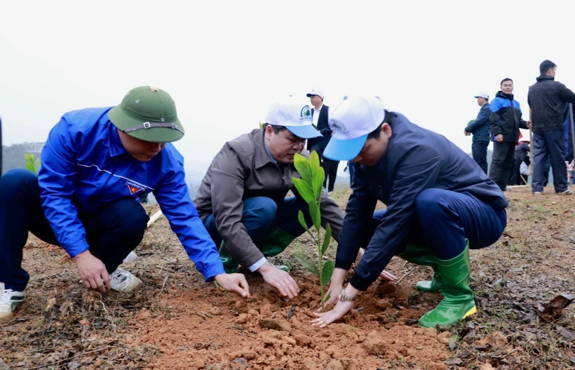 Hưởng ứng Tết trồng cây tại huyện Văn Chấn, tỉnh Yên Bái. (Ảnh: Tuấn Anh/TTXVN)