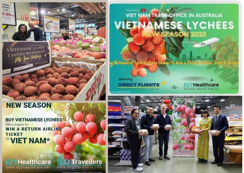 Một số hoạt động xúc tiến vải tại Australia các mùa vụ gần đây do Cơ quan Thương vụ thực hiện như đấu giá, treo thưởng vé máy bay, dùng thử, quảng cáo trên nền tảng trực tuyến có lượng truy cập lớn. (Ảnh: TTXVN phát)