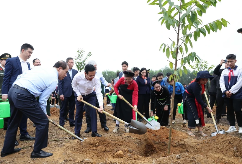 Chủ tịch nước Võ Văn Thưởng và các đại biểu tham gia trồng cây tại Lễ phát động Tết trồng cây 'Đời đời nhớ ơn Bác Hồ' Xuân Giáp Thìn 2024. (Ảnh: Thống Nhất/TTXVN)