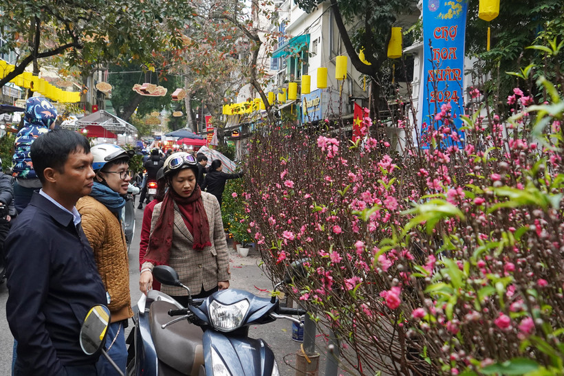 Chợ hoa Hàng Lược (Hà Nội) vẫn tấp nập những ngày cận Tết nhưng khách hàng chỉ ngắm chứ không mua. (Ảnh: Việt Anh/Vietnam+)