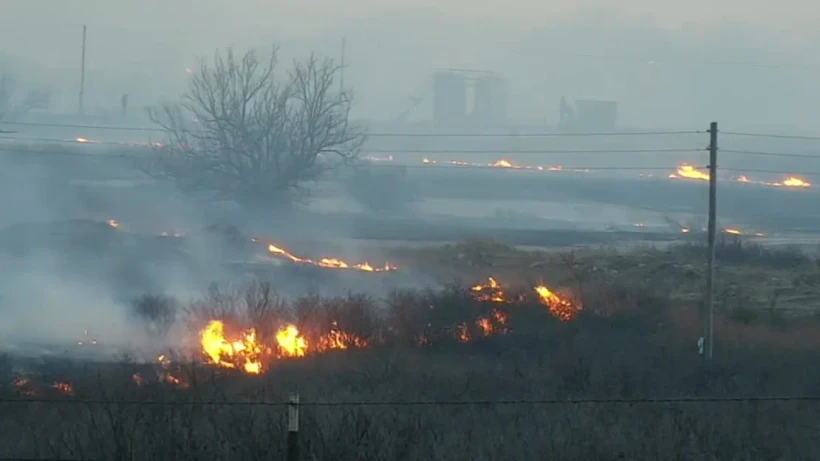 Cháy rừng ở bang Texas. (Nguồn: KFDA)