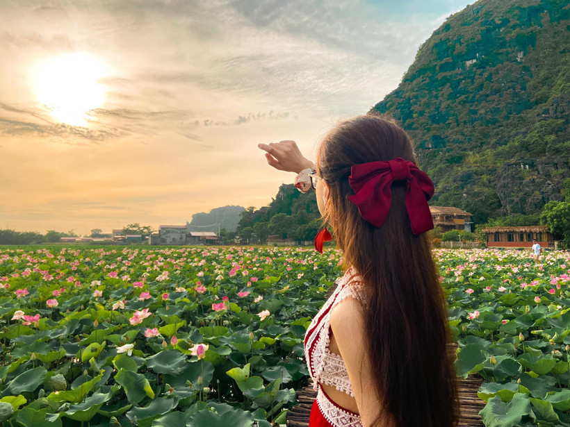 Đầm sen kỳ lạ nở tới tận mùa Đông dưới chân núi Ngọa Long 