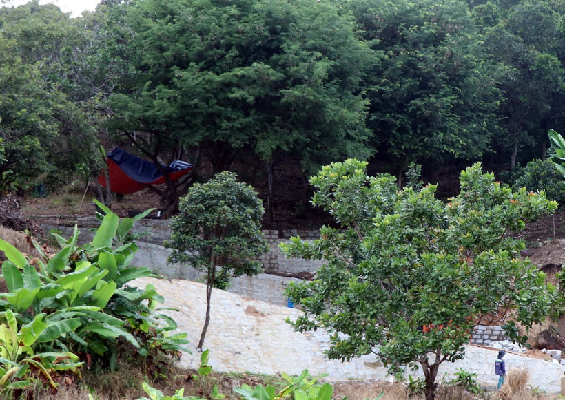 Đất rừng bị lấn chiếm. (Ảnh minh họa. Nguồn: TTXVN)