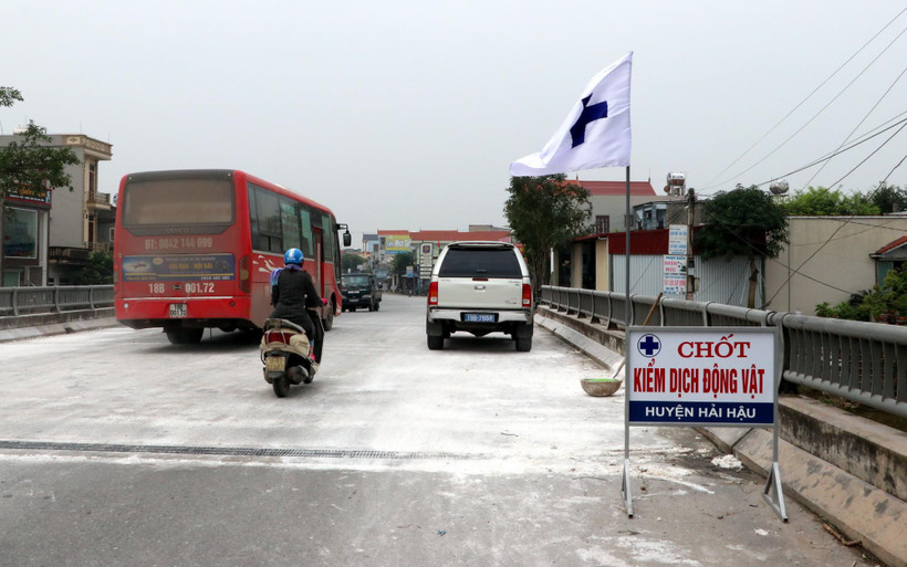 Chốt kiểm dịch trên địa bàn huyện Hải Hậu, tỉnh Nam Định. (Ảnh: Văn Đạt/TTXVN)