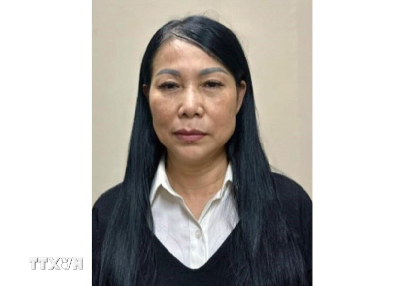 Bà Hoàng Thị Thúy Lan. (Ảnh: TTXVN phát)