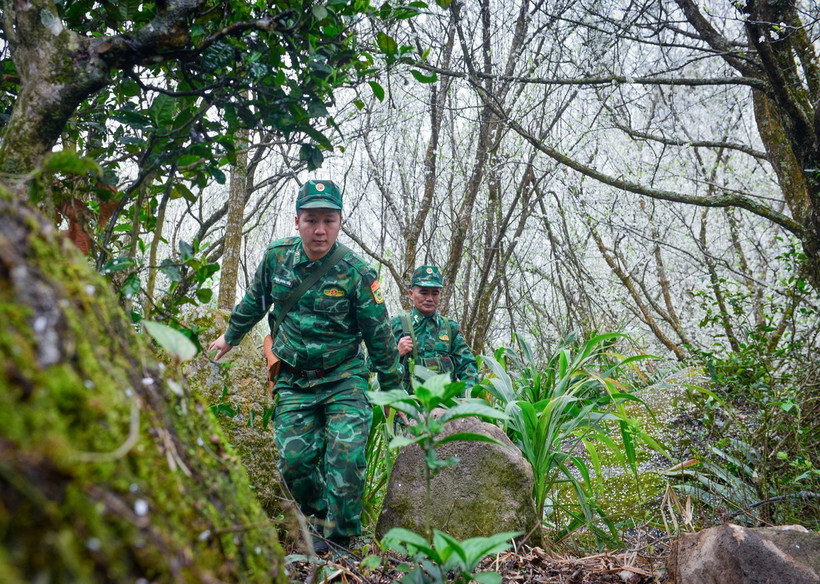 Cán bộ, chiến sỹ Đồn Biên phòng Thàng Tín (Hà Giang) tuần tra, kiểm soát địa bàn được giao phụ trách. (Ảnh: Nam Thái/TTXVN)