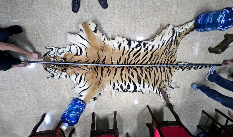 Tang vật vụ án. (Ảnh: TTXVN phát)