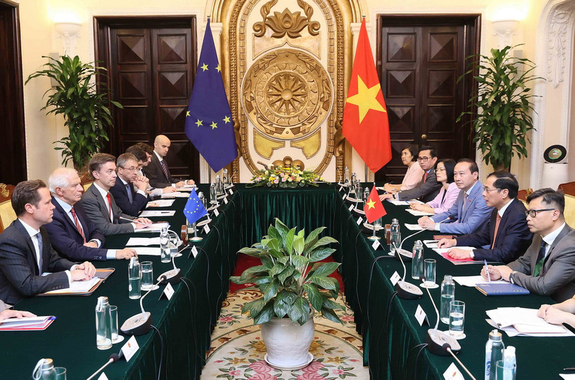 Bộ trưởng Ngoại giao Bùi Thanh Sơn hội đàm với Phó Chủ tịch Ủy ban châu Âu (EC), Đại diện cấp cao Liên minh châu Âu (EU) về Chính sách đối ngoại và an ninh Josep Borrell Fontelles. (Ảnh: An Đăng/TTXVN)