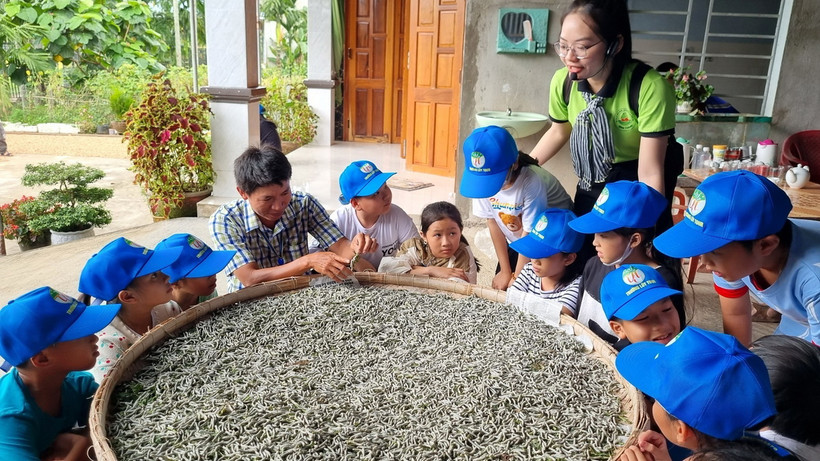 Học sinh trải nghiệm cách nuôi tằm tại huyện Nghĩa Hành, tỉnh Quảng Ngãi. (Ảnh: TTXVN phát)