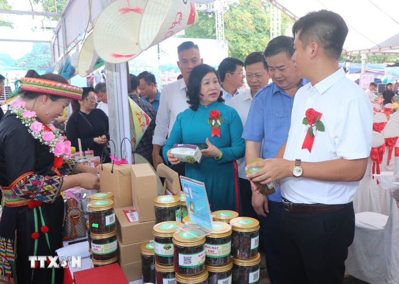 Ảnh chỉ mang tính minh họa. (Nguồn: TTXVN)