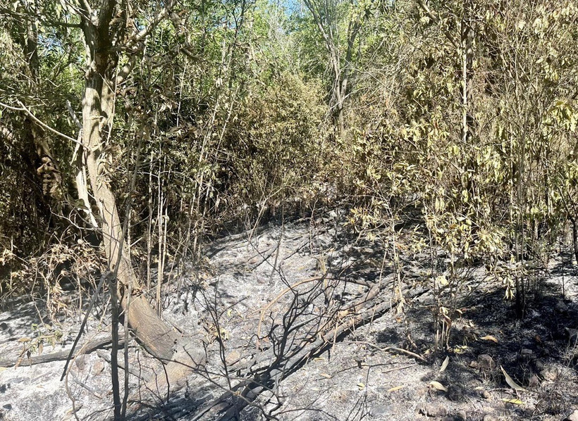 Đám cháy được khống chế, dập tắt hoàn toàn. (Ảnh: TTXVN phát)