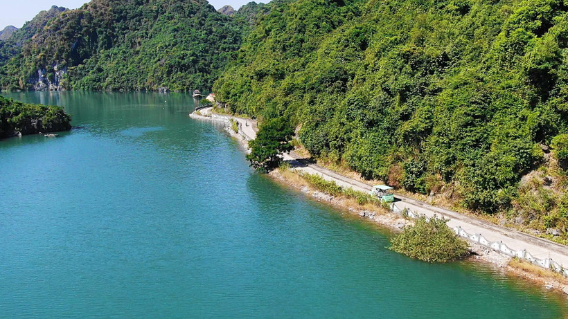 Một góc xanh trên đảo Cát Bà. (Ảnh: CTV/Vietnam+)