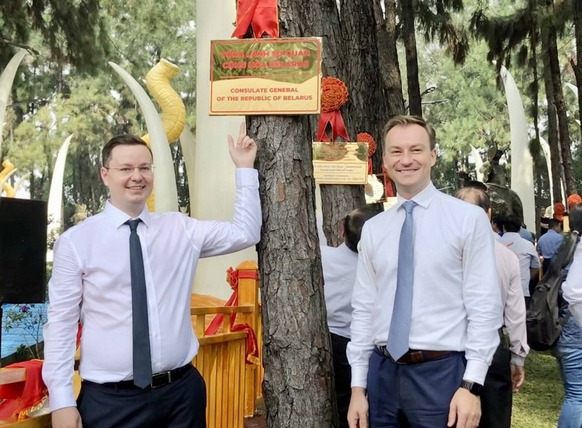 Các cán bộ Tổng lãnh sự Belarus tại Thành phố Hồ Chí Minh bên cây thông gắn bảng tên Tổng Lãnh sự quán Belarus tại Vườn thông Hữu nghị. (Ảnh: Xuân Khu/TTXVN)