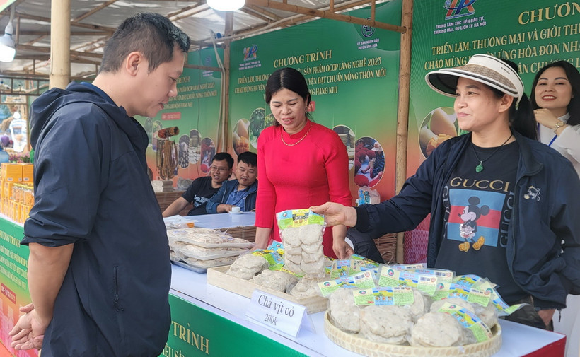 Sản phẩm của một làng nghề ở Hà Nội. (Ảnh: Phương Anh/TTXVN)