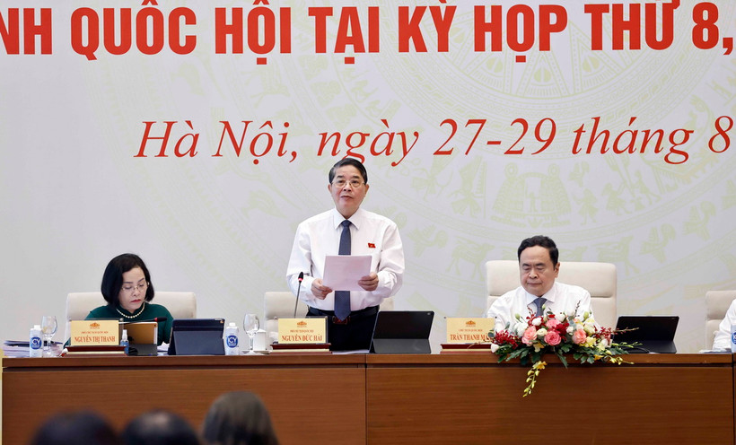 Phó Chủ tịch Quốc hội Nguyễn Đức Hải điều hành phiên họp. (Ảnh: Doãn Tấn/TTXVN)
