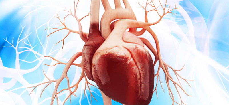 Ảnh minh họa. (Nguồn: AP)