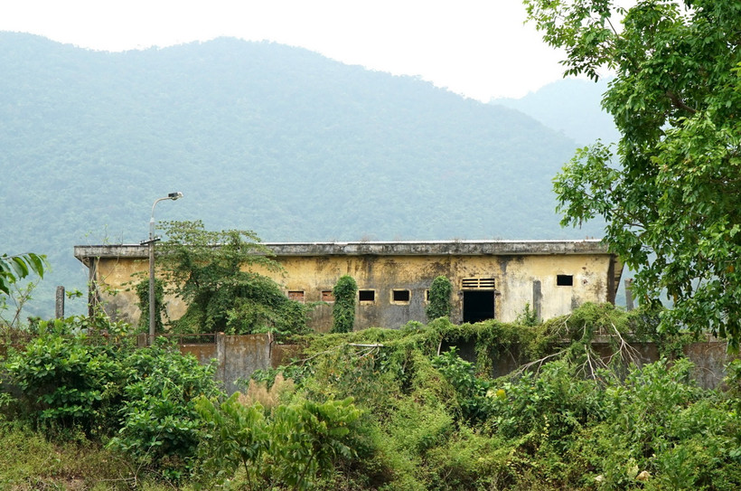 Cây dại, cỏ hoang mọc đầy trong khu Trung tâm giáo dục-dạy nghề 05-06 cũ. (Ảnh: Quốc Dũng/TTXVN)