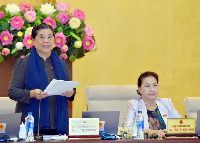 Phó Chủ tịch Thường trực Quốc hội Tòng Thị Phóng phát biểu. (Ảnh: Trọng Đức/TTXVN)