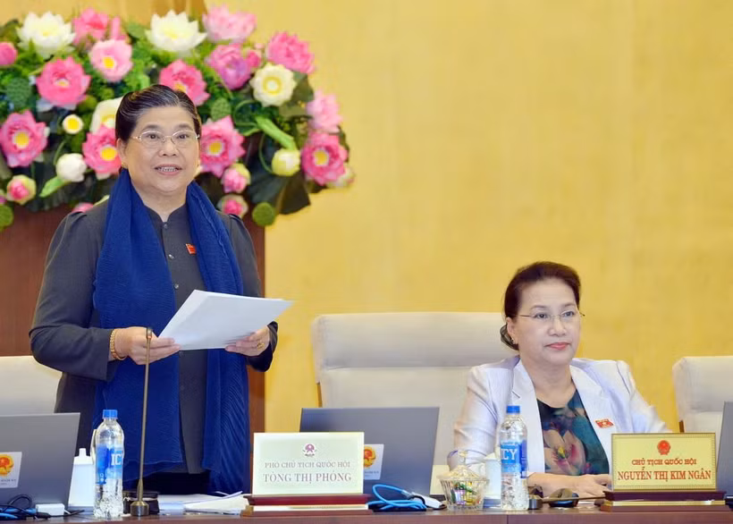 Phó Chủ tịch Thường trực Quốc hội Tòng Thị Phóng phát biểu. (Ảnh: Trọng Đức/TTXVN)