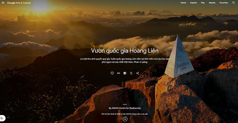 Ảnh chụp màn hình.