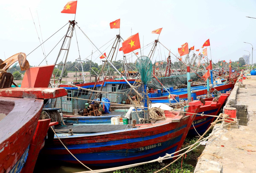 Tàu thuyền neo đậu tại Cảng cá Tân Sơn, huyện Thái Thụy để tránh bão số 3. (Ảnh: Thế Duyệt/TTXVN)
