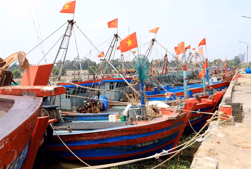 Tàu thuyền neo đậu tại Cảng cá Tân Sơn, huyện Thái Thụy để tránh bão số 3. (Ảnh: Thế Duyệt/TTXVN)