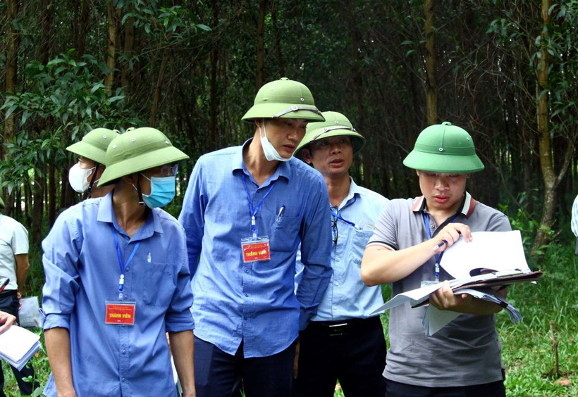 Xác định diện tích cưỡng chế thu hồi đất gia đình bà Nguyễn Thị Nguyệt (thôn Ngô Bắc, xã Phú Thủy, huyện Lệ Thủy). (Ảnh: Tá Chuyên/TTXVN)