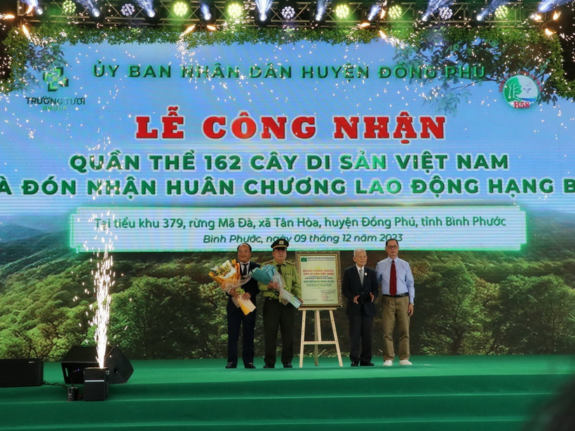 Lễ Công nhận Quần thể Cây Di sản. (Ảnh: TTXVN phát)
