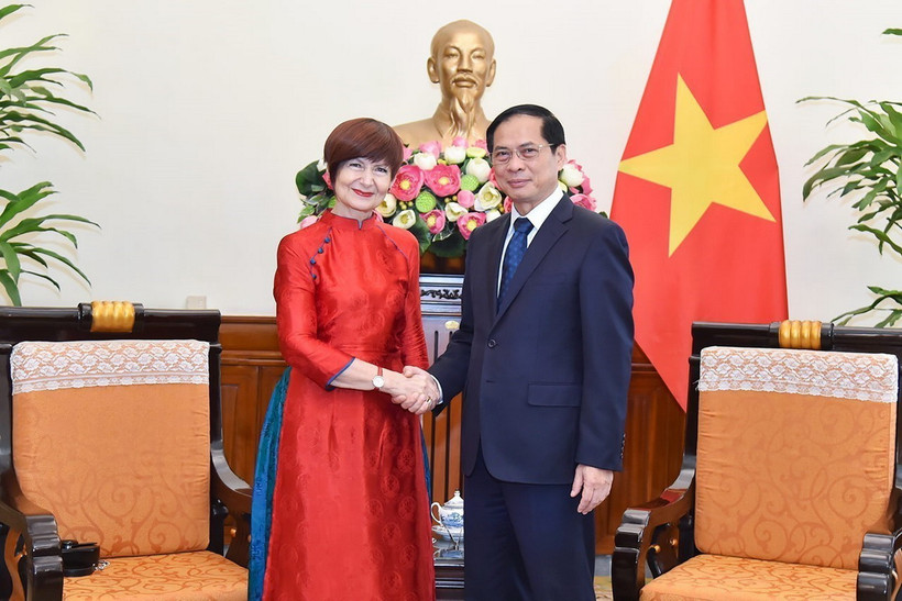 Bộ trưởng Ngoại giao Bùi Thanh Sơn tiếp bà Simona-Mirela Miculescu, Chủ tịch Đại hội đồng UNESCO. (Ảnh: TTXVN phát)