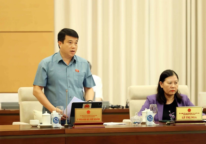 Chủ tịch Hội đồng Dân tộc của Quốc hội Y Thanh Hà Niê KĐăm phát biểu. (Ảnh: An Đăng/TTXVN)