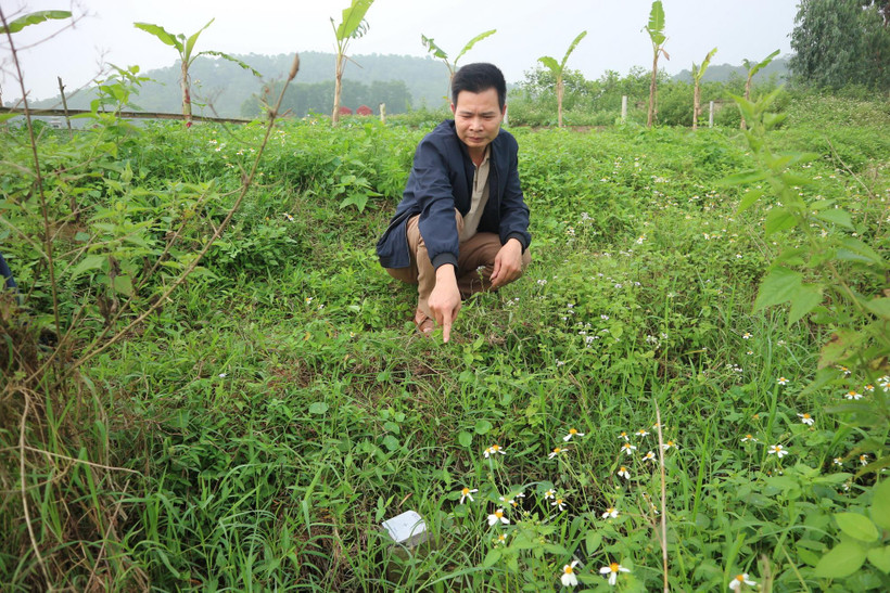 Cán bộ địa chính xã Nam Sơn (huyện Sóc Sơn) cho biết đến nay đã hoàn thành kiểm đếm, cắm mốc giải phóng mặt bằng khu vực bán kính 500 mét tính từ tường rào bãi rác Nam Sơn. (Ảnh: Mạnh Khánh/TTXVN)