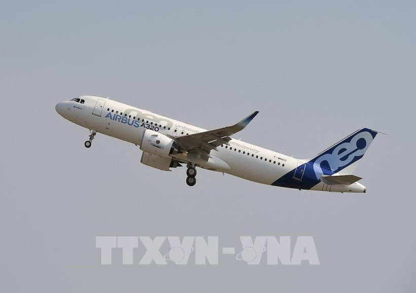 Ảnh minh họa. (Nguồn: AFP/TTXVN)