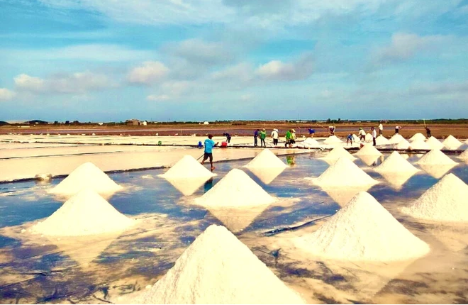 Cánh đồng muối tại. (Ảnh: Chanh Đa/TTXVN) 