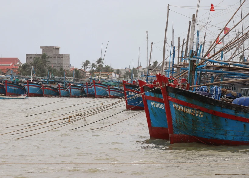 Tàu thuyền neo đậu tránh bão. (Ảnh minh họa. Nguồn: TTXVN)