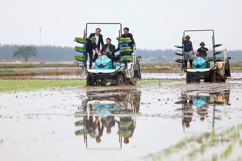 Thủ tướng Phạm Minh Chính cùng nông dân cấy mạ vụ Đông Xuân bằng phương tiện cơ giới. (Ảnh: Dương Giang/TTXVN)