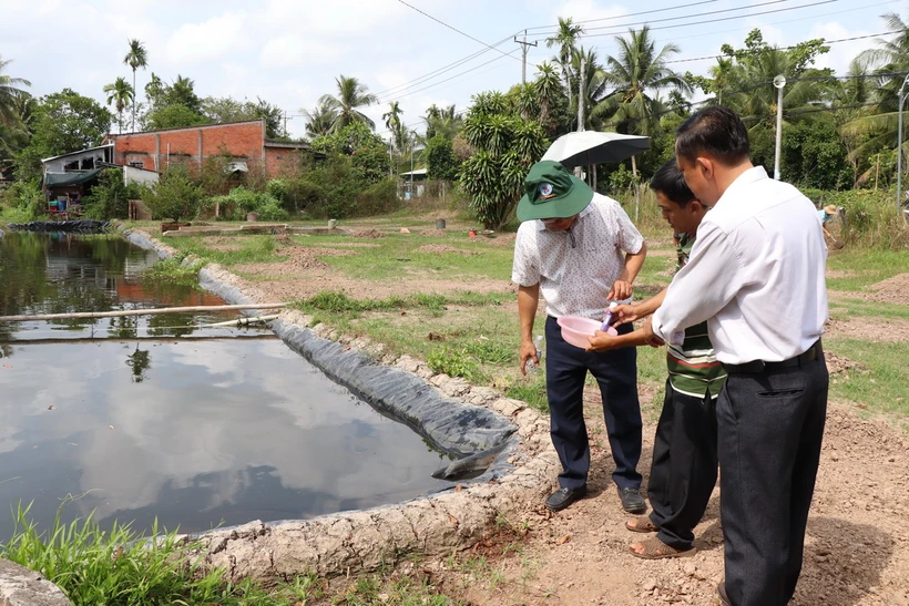 Nhà vườn xã Hưng Khánh Trung B, huyện Chợ Lách, tỉnh Bến Tre chủ động đo độ mặn trước khi tưới cho cây trồng. (Ảnh Công Trí/TTXVN)