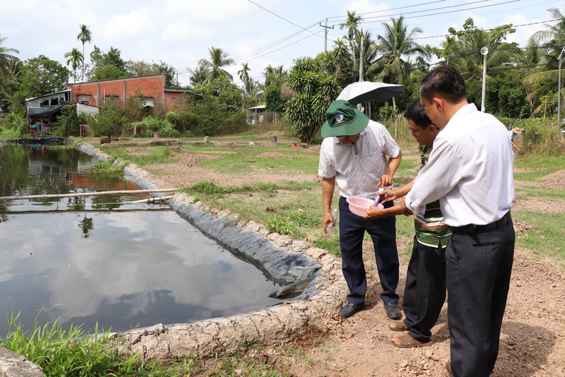 Nhà vườn xã Hưng Khánh Trung B, huyện Chợ Lách, tỉnh Bến Tre chủ động đo độ mặn trước khi tưới cho cây trồng. (Ảnh Công Trí/TTXVN)