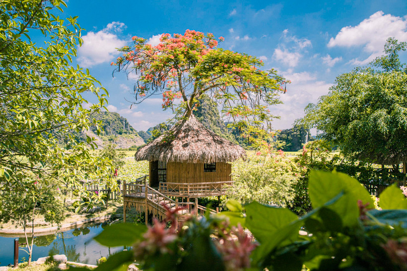 Một góc khu nghỉ dưỡng ngay giữa đầm sen ở Ninh Bình. (Ảnh: PV/Vienam+)