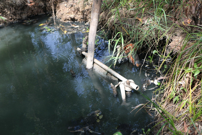 Ống nước thải của Công ty Trách nhiệm hữu hạn An Hưng Nông đổ ra kênh tại ấp 3, xã Tân Đông, huyện Thạnh Hóa, tỉnh Long An. (Ảnh: Thanh Bình/TTXVN)