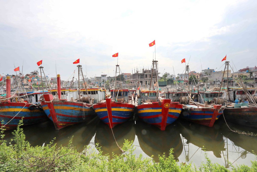 Tàu thuyền neo đậu tại khu neo đậu tàu thuyền huyện Thái Thụy, tỉnh Thái Bình, chiều 6/9. (Ảnh: Thế Duyệt/TTXVN