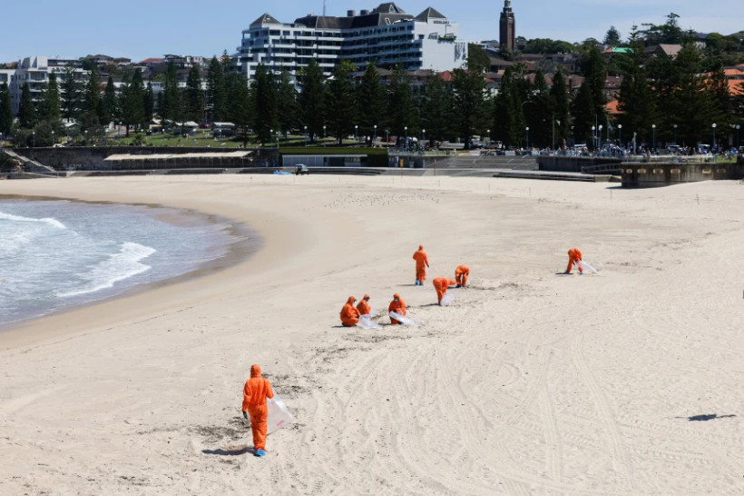 Thu gom những quả cầu đen bí ẩn trôi dạt vào bờ biển ở Sydney, Australia. (Nguồn: Getty Images)
